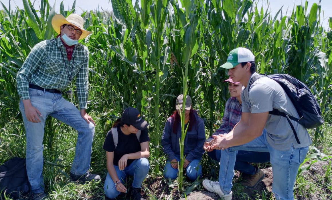 Arranca el Censo agropecuario 2022 en Tlaxcala