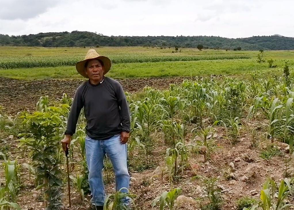 Campesinos de Tlaxcala participarán en el censo agropecuario 2022