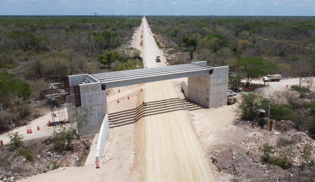 Gana gobierno federal amparos  del tramo 5 del Tren Maya pese a denuncias