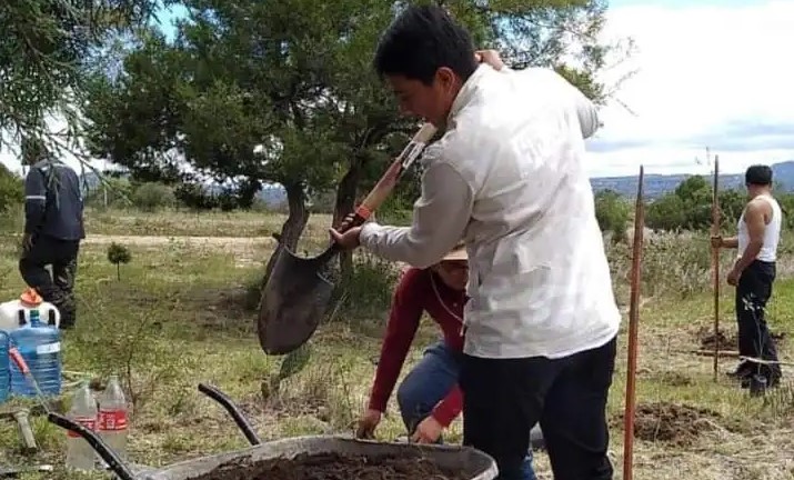 Gobierno de Santa Cruz Tlaxcala inicia programa de reforestación en el cerro Cristo Rey