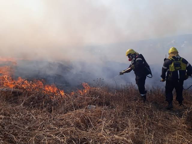 El 80% de incendios registrados son por quema de pastizales: CEPC