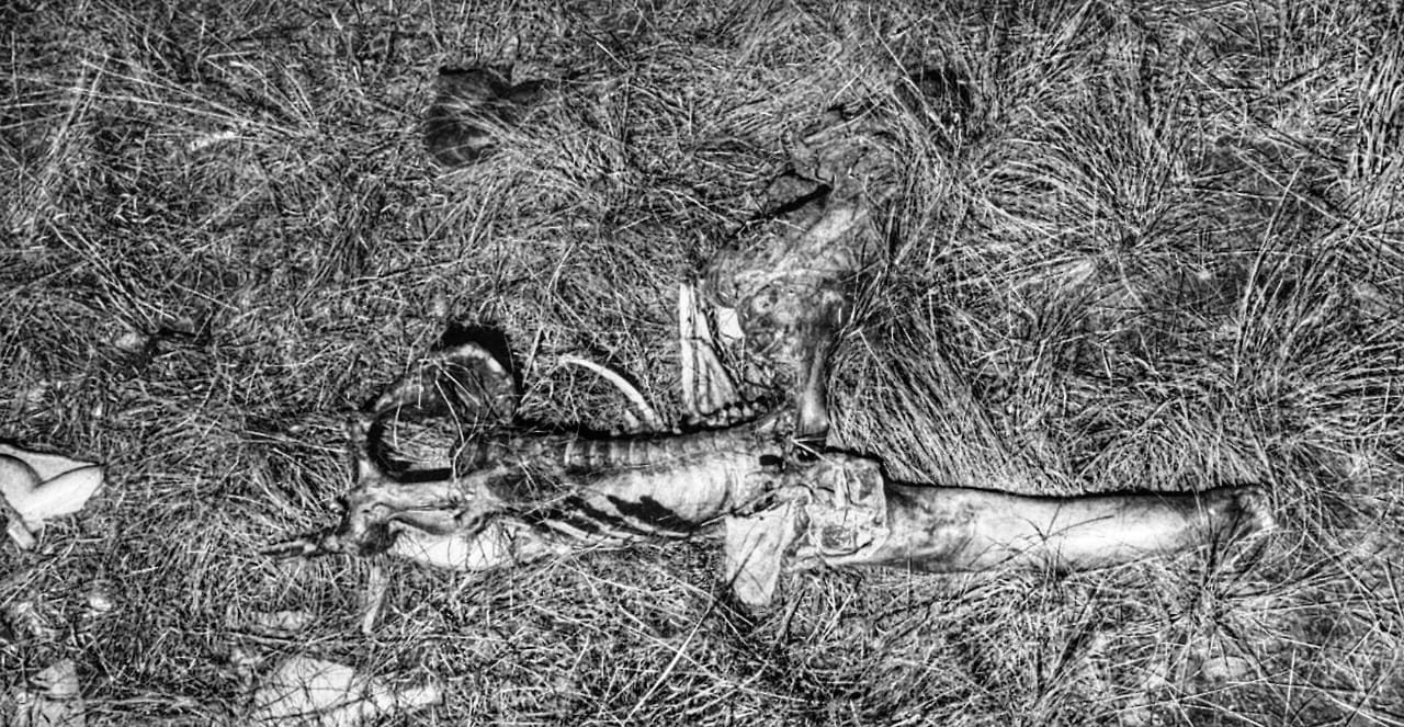 Localizan restos de cadáver humano en San Miguel del Milagro; Nativitas