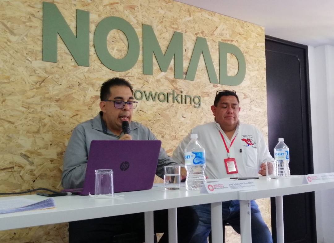 Vigilarán activistas cumplimiento de Ley de Bienestar Animal, crean el OCPA