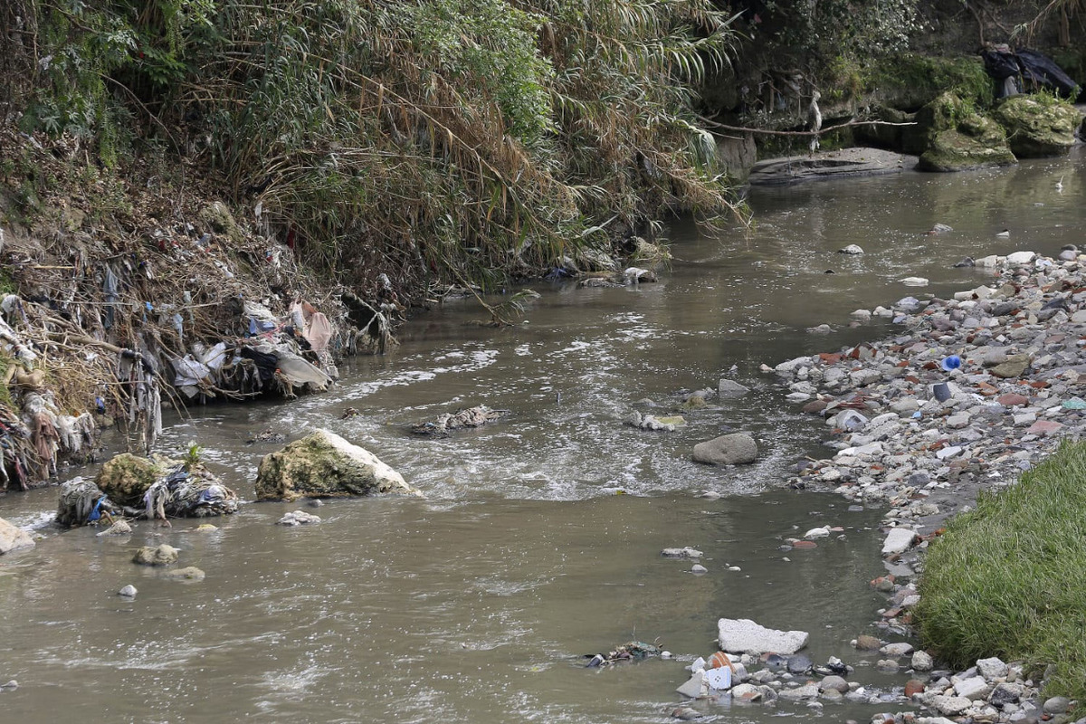 Empresas de cárnicos son los principales contaminadores de ríos en Puebla: Myriam Arabian