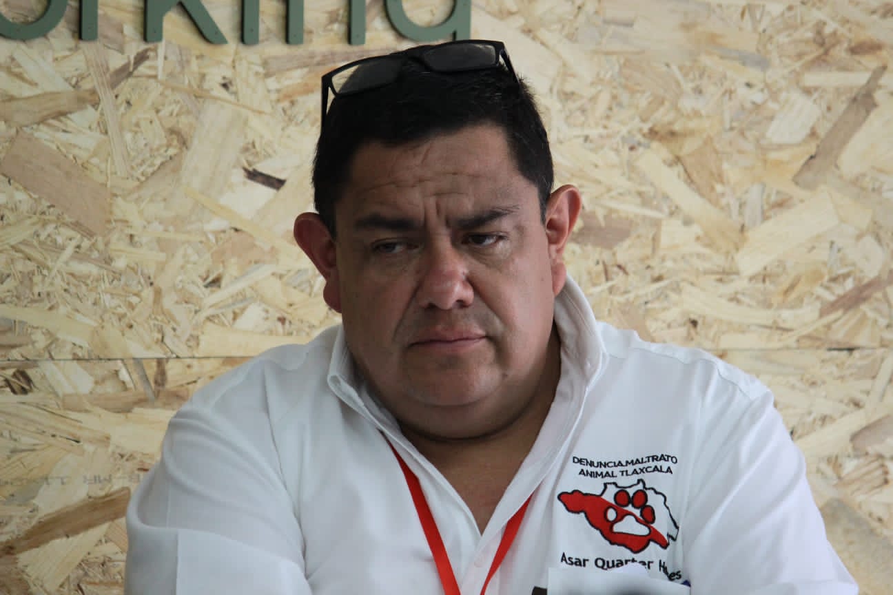 Rescatan en Tlaxcala a perrita víctima de zoofilia