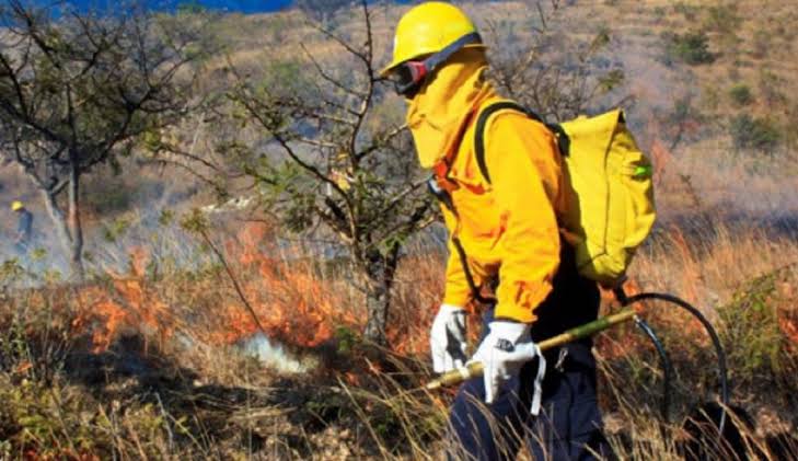 En lo que va del año, Tlaxcala ha sufrido afectaciones en 100 hectáreas por incendios