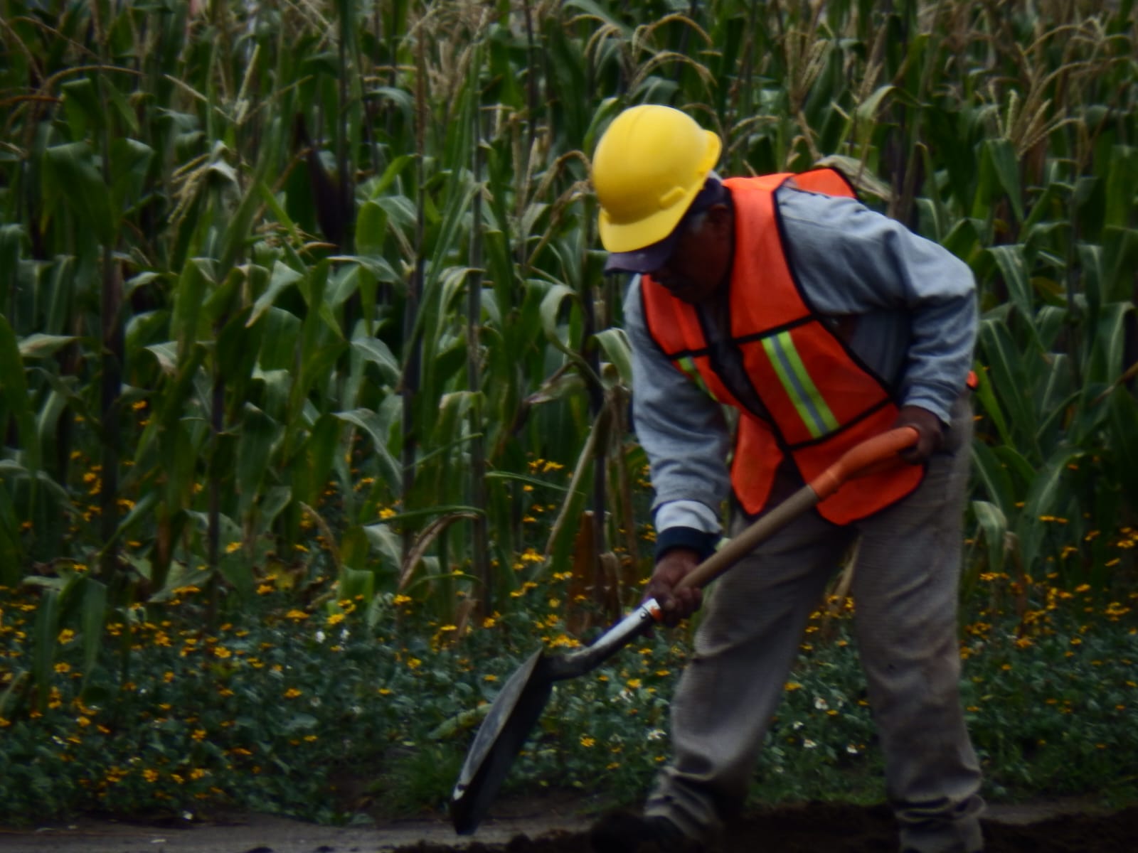 Constructoras de Tlaxcala con bajo índice de producción