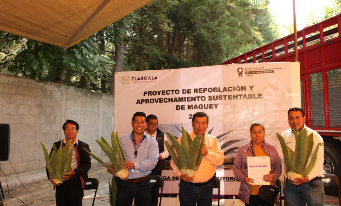 Entrega SIA más de 38 mil plantas de maguey a población productora