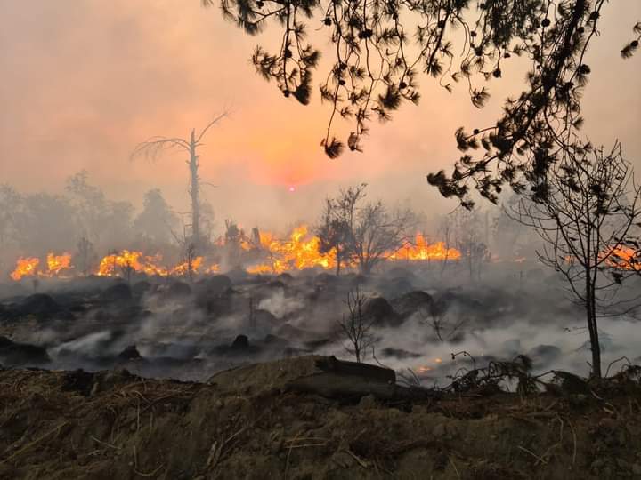 Ante inacción del estado, brigadistas se unen contra incendios en la Malinche 