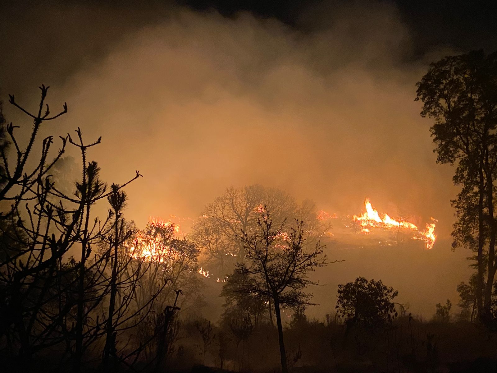 Incendios en Tlaxcala dejaron perdida de 50 hectáreas: CONAFOR