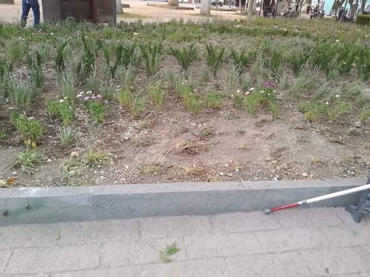 "A la basura" 8.3 mdp para remodelación de Plaza de la Constitución en Tlaxcala