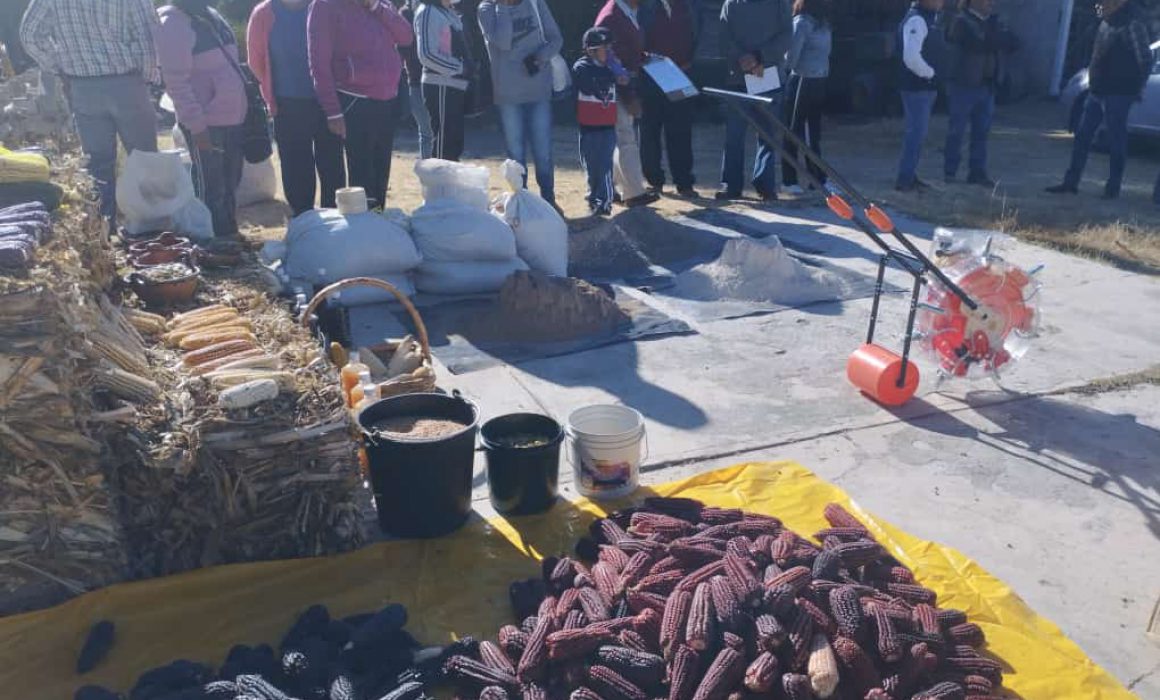 Capacita SIA para transitar de agricultura tradicional a orgánica