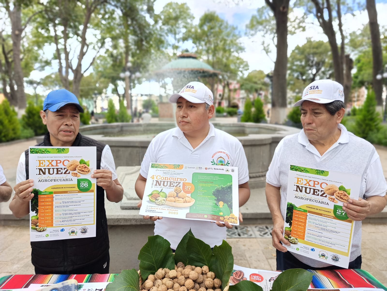 Para chiles en nogada y otros usos llega Feria y Expo de la nuez