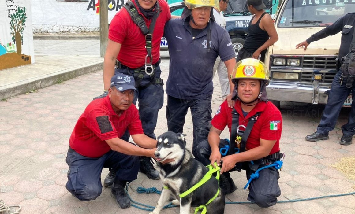 Bomberos de Tlaxcala rescatan a 2 perritos