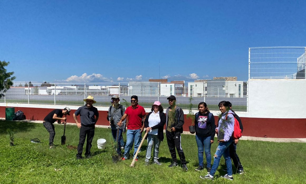 Reforesta UPTX áreas verdes del campus universitario