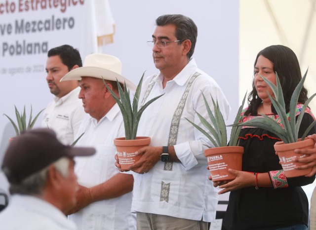 Gobierno invertirá más de 400 mdp para impulsar producción de mezcal en la Mixteca