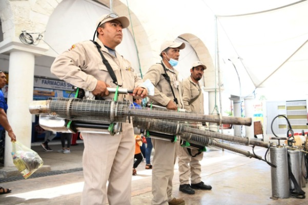 68 municipios de Puebla registran casos de dengue