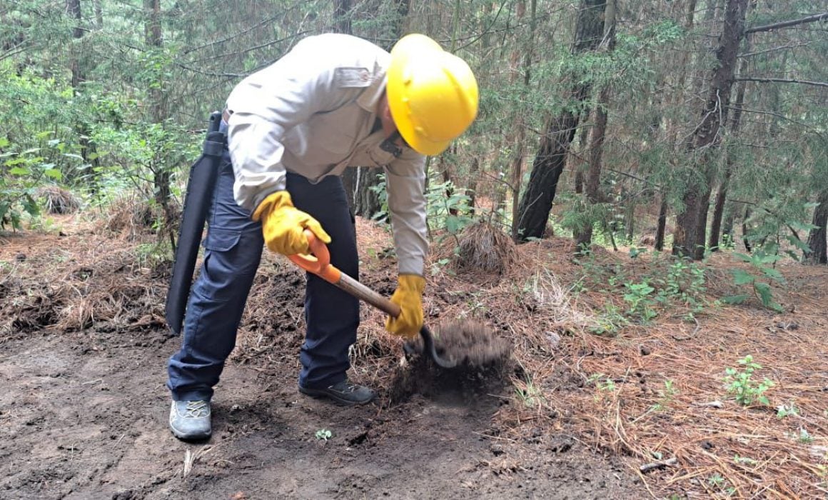 Ejecuta SMA acciones para la prevención de incendios forestales
