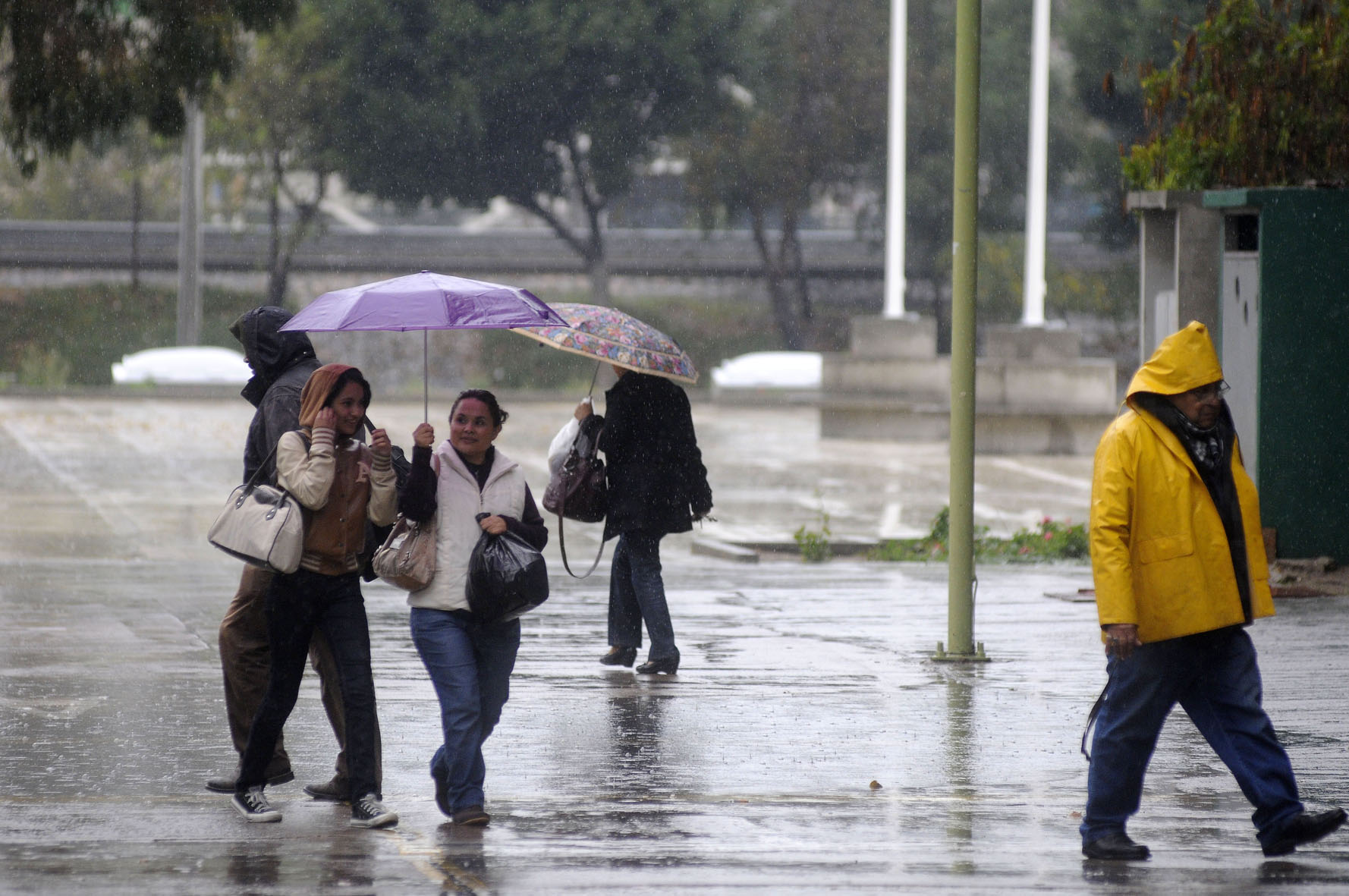 Mañana fría de -5 a 0 grados, tarde con probabilidad de lluvias aisladas