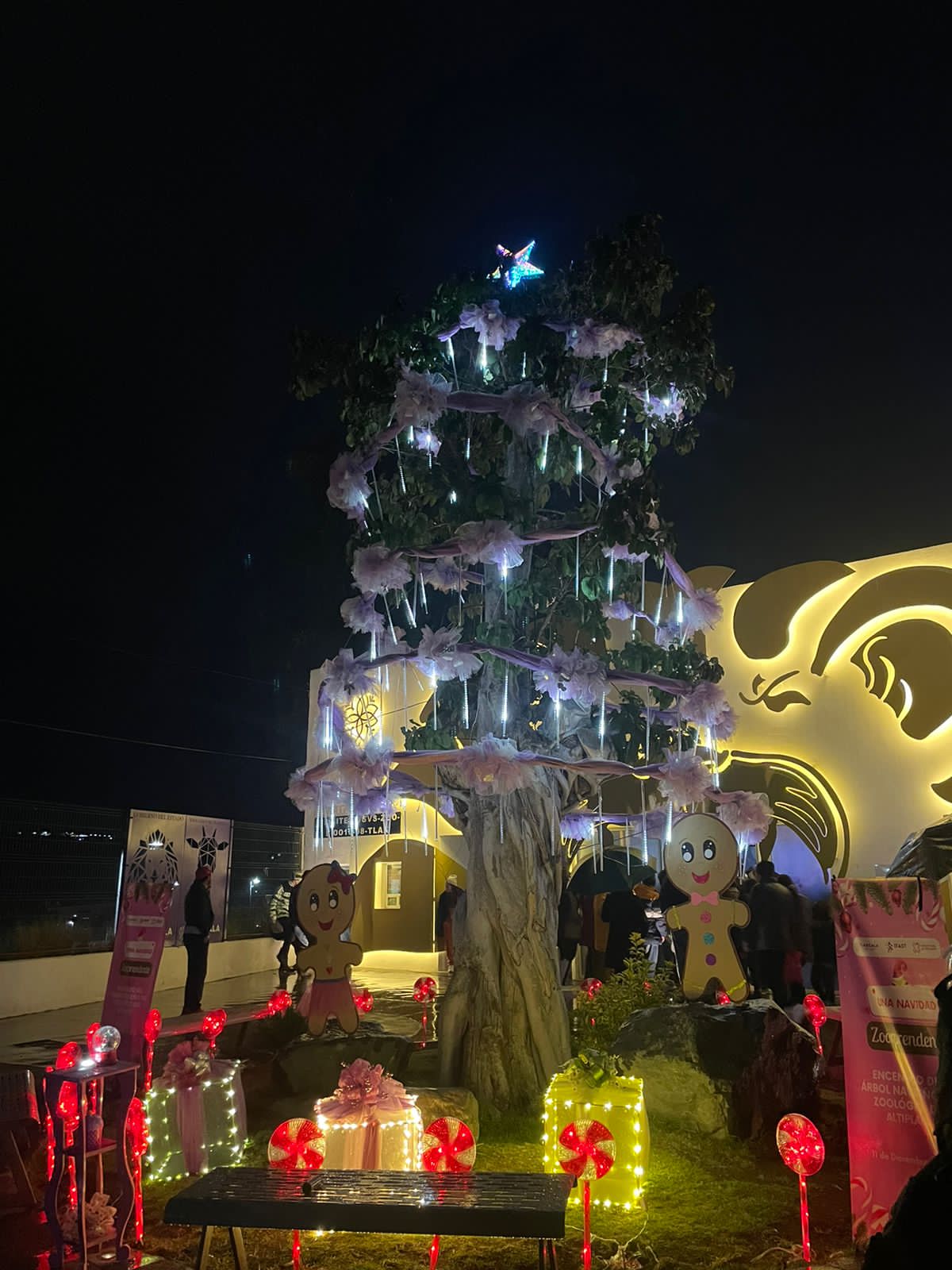 Encienden árbol de Navidad en el Zoológico de Tlaxcala 
