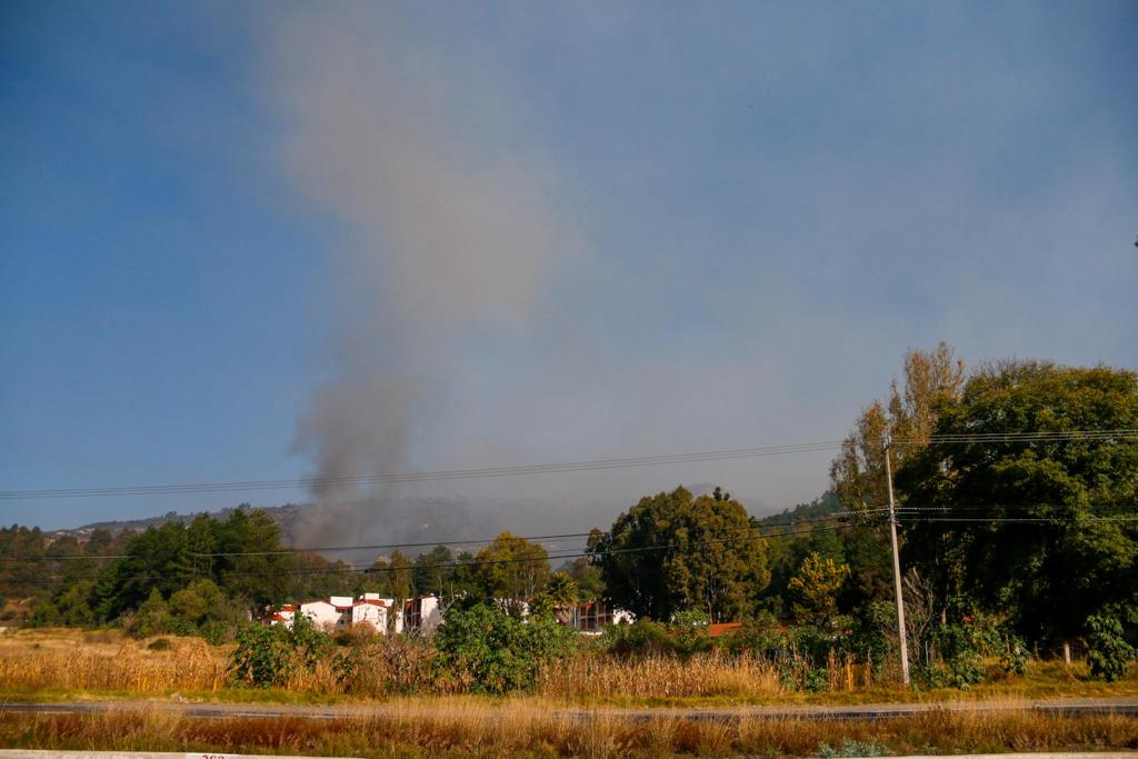 Descarta CBA animales afectados por incendio en basurero de Panotla