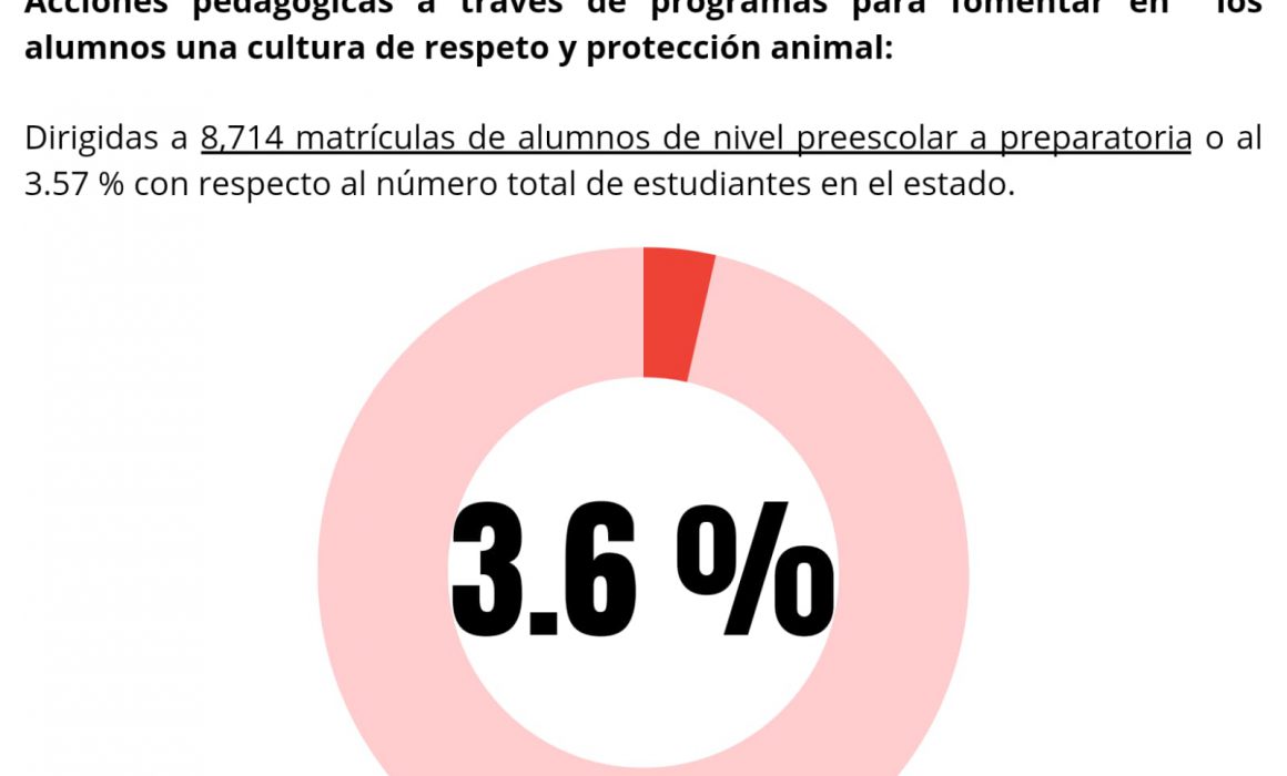 Incumple estado con política de bienestar animal, evalúan organizaciones
