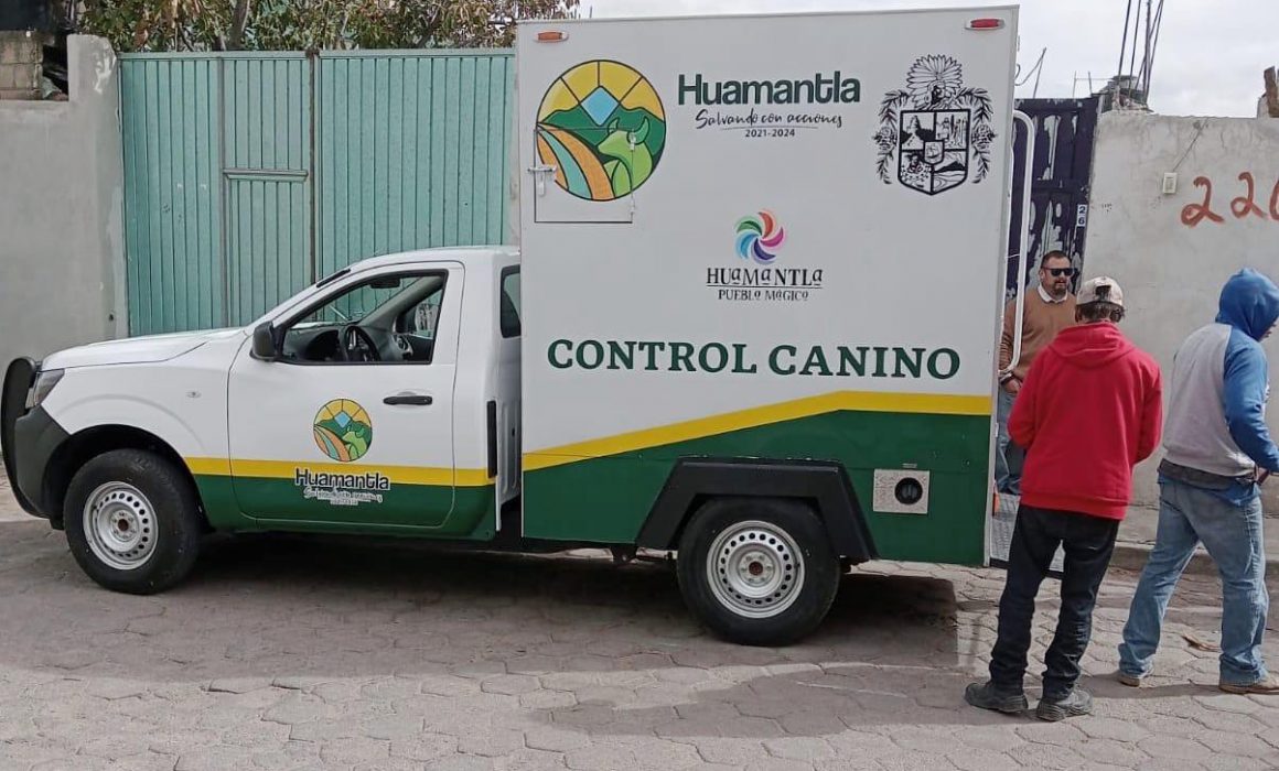 Presenta Huamantla denuncia ante la Propaet por maltrato animal