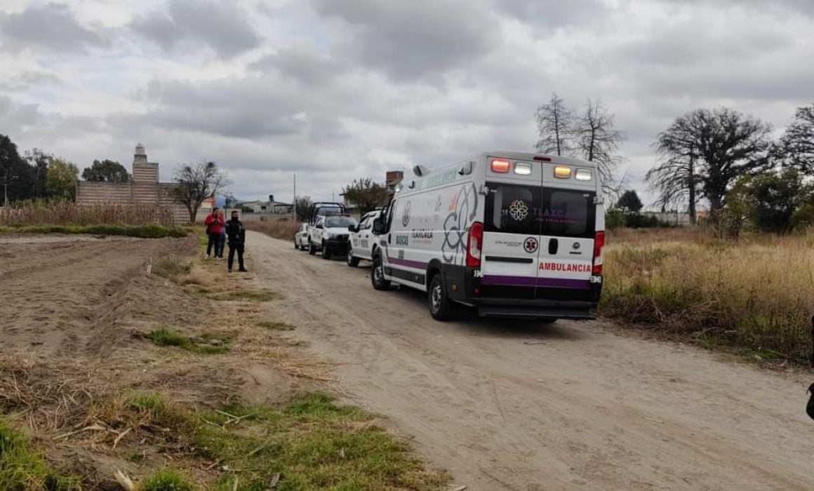 Tras quedarse dormido, perros devoran mano de hombre en Teolocholco