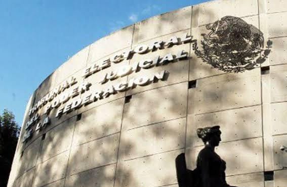 Acuden ciudadano y partido ante TEPJF para impugnar designación de municipios para candidaturas femeninas