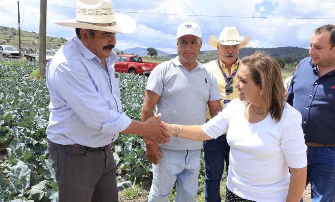 Suman más de 350 mdp invertidos en el campo tlaxcalteca en 2023