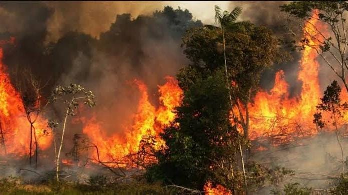 Tlaxcala reportó 126 incendios forestales durante el 2022: CONAFOR.