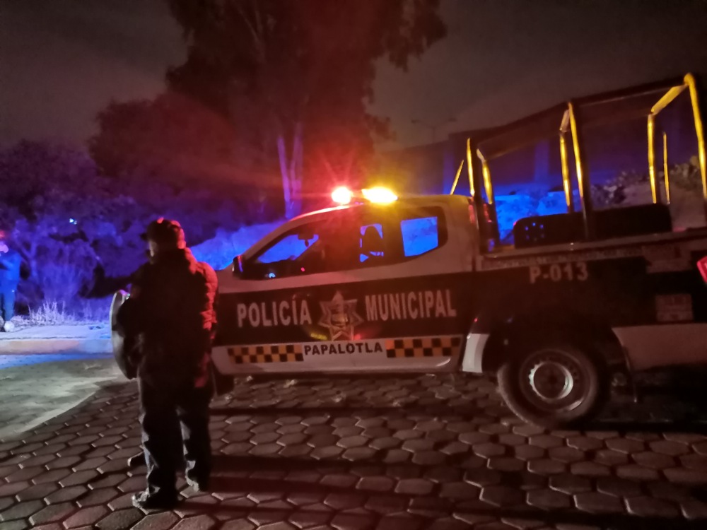 Supuesto embolsado en Papalotla genera movilización policiaca; se trataba de un árbol de navidad desechado en la zona