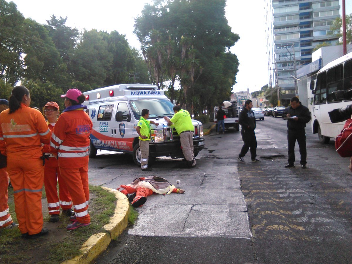“Naranjita” atropellada por borracho será sometida a una cirugía