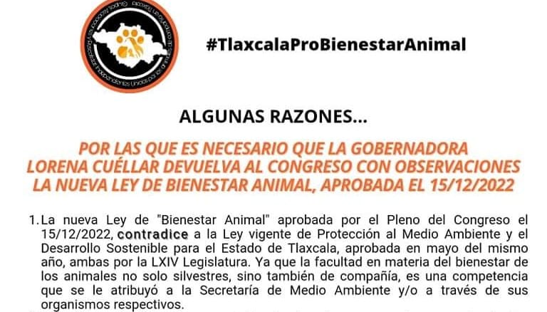 Insisten con veto a nueva ley de bienestar animal