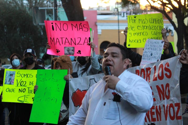 Reclaman ambientalistas a Gobierno y Ayuntamientos de Tlaxcala regulación de pirotecnia
