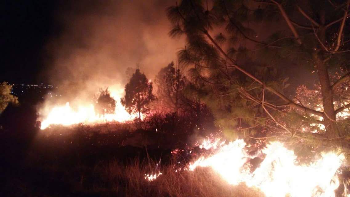 Durante 2022 incendios disminuyeron más del 50% en Tlaxcala 