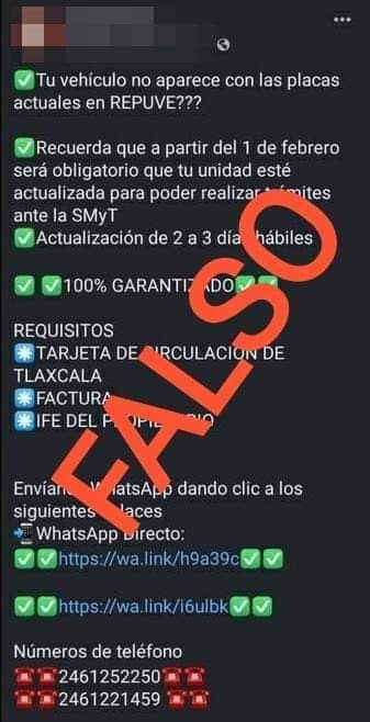 Detectan intentos de fraude en colocación de chips del REPUVET
