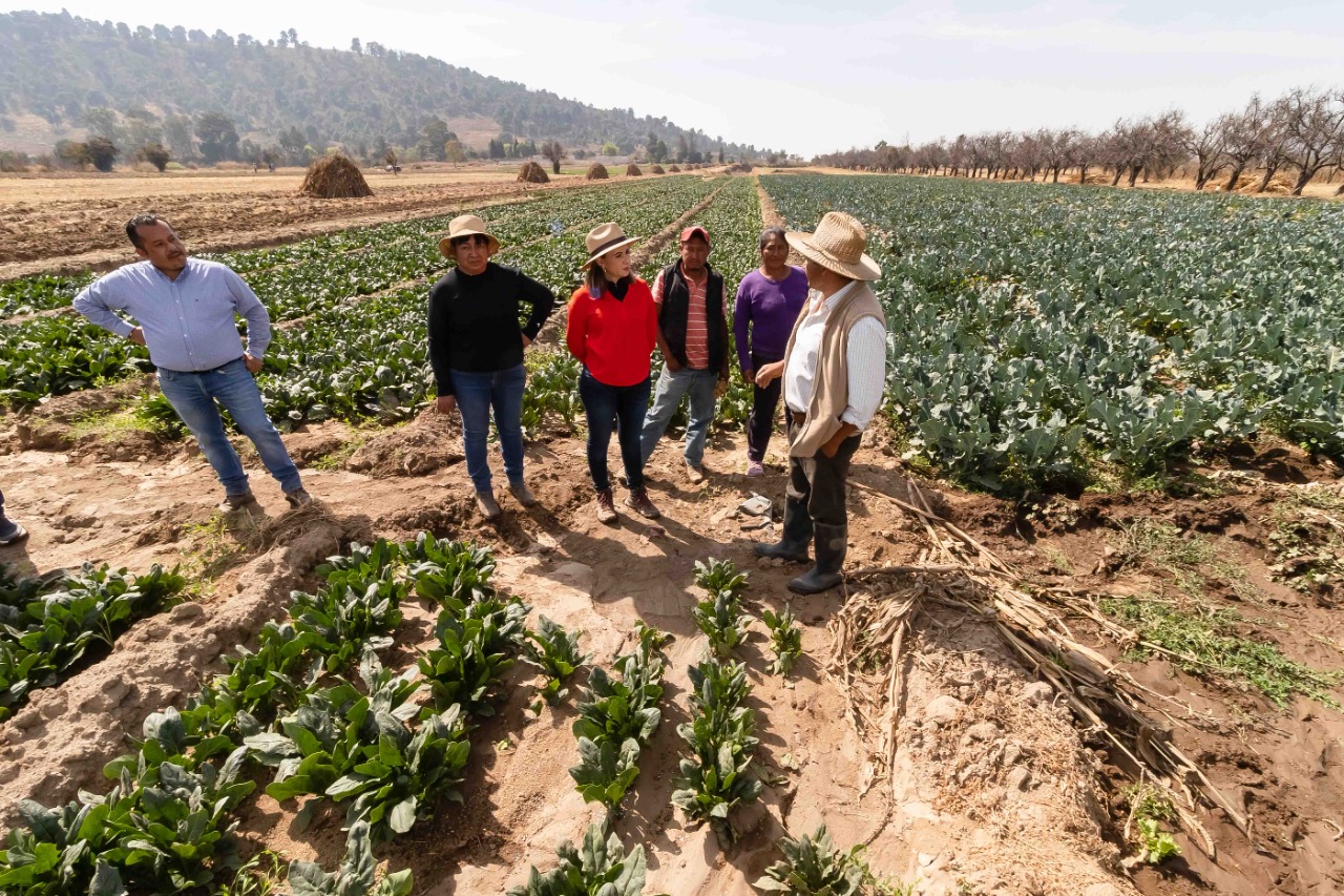 Apoyo al campo cholulteca es compromiso permanente del gobierno municipal: Paola Angon
