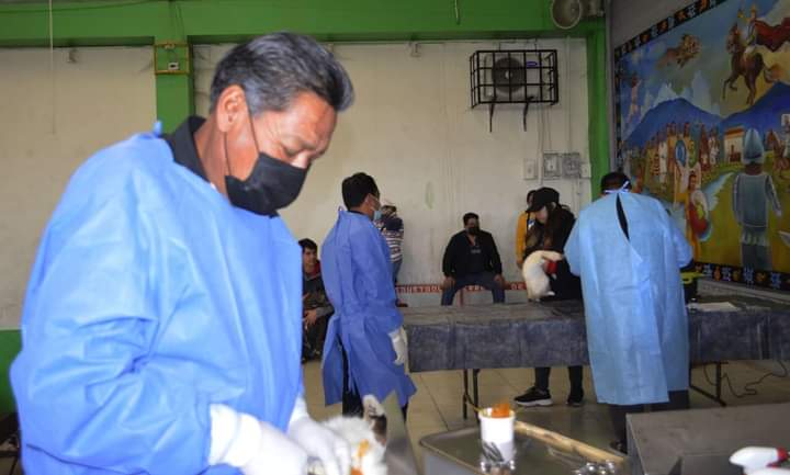 Ayuntamiento de Amaxac de Guerrero inicia campaña de esterilización de mascotas 