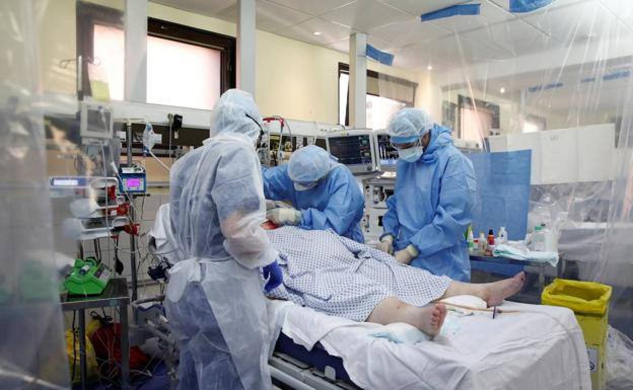 Alerta OMS sobre el aumento de casos de la variante Kraken del Covid