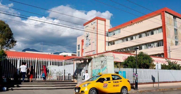 Muere niña de 8 años en Oaxaca por mordida de murciélago; fue diagnosticada con rabia