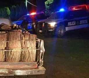 Aseguran 4 camionetas con madera ilegal en Zitlaltepec 