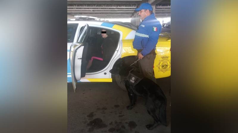 Migración ilegal en Monterrey: Detienen a mujer al intentar trasladar a 7 menores