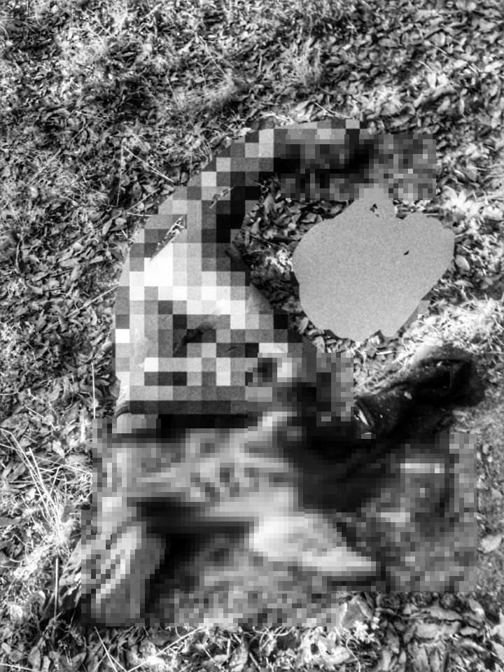 Hallan cuerpo de hombre devorado por la fauna, en San Pablo del Monte