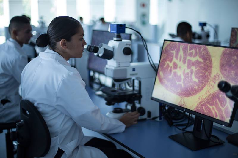 Convocatoria Marina 2023: Estas son las carreras y los requisitos para entrar