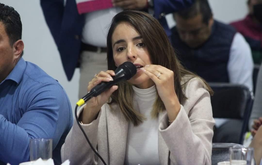 Se prepara PAN para fortalecer a cuadros municipales
