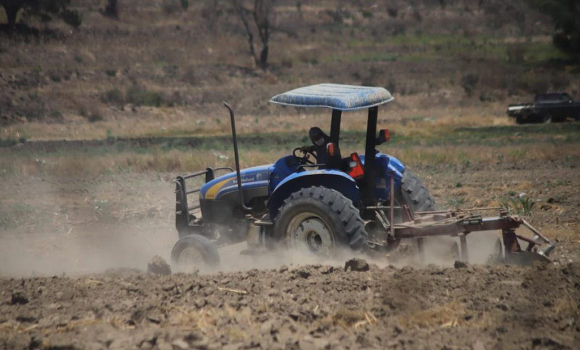 Abre SIA convocatorias para proyectos agrícolas
