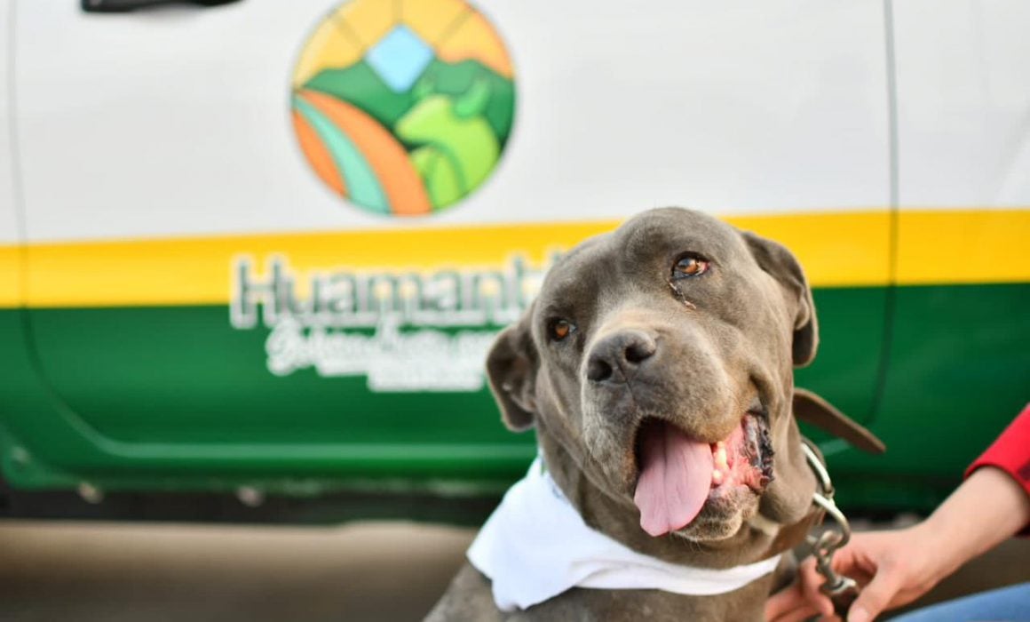 Anuncia Salvador Santos construcción de clínica para perros y gatos en Huamantla