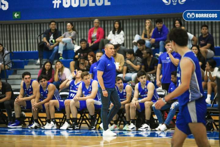 Jornada clave para Borregos Puebla en la Liga ABE