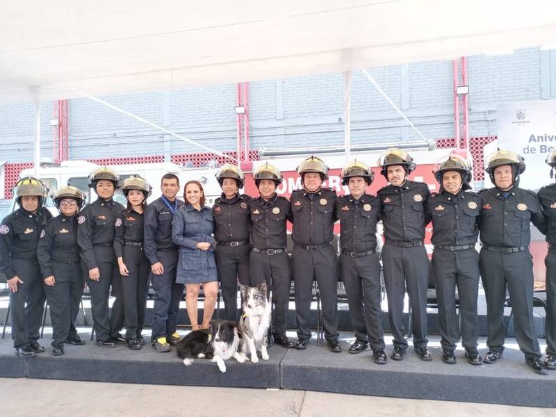 Orly y Balam, perritos rescatistas que viajaron a Turquía, vuelven a Querétaro